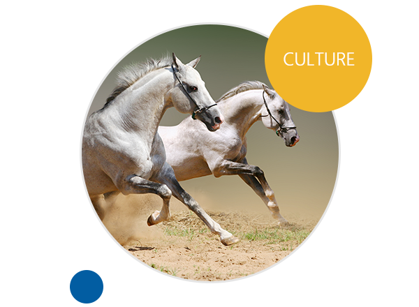 enterprise culturethe spirit of the wild horsecore valuespeople